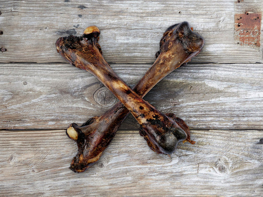 Kangaroo large bone natural air dried Australian dog treat