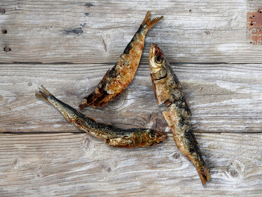 air-dried Australian sardines natural dog treats
