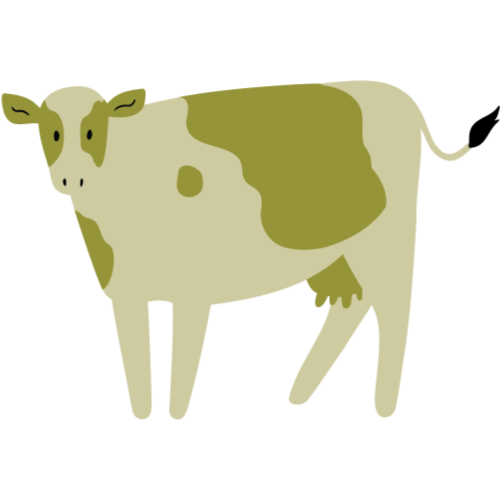 Beef
