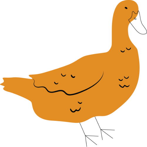 Duck