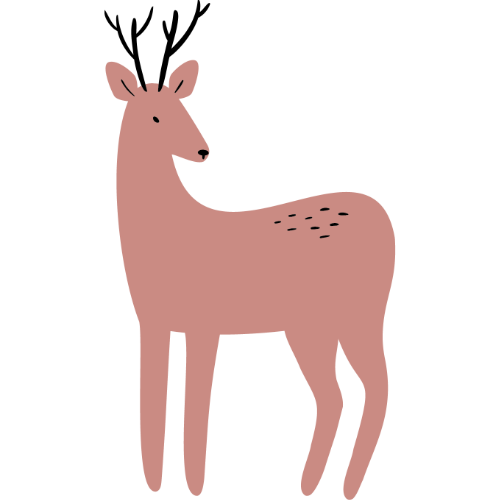 Venison