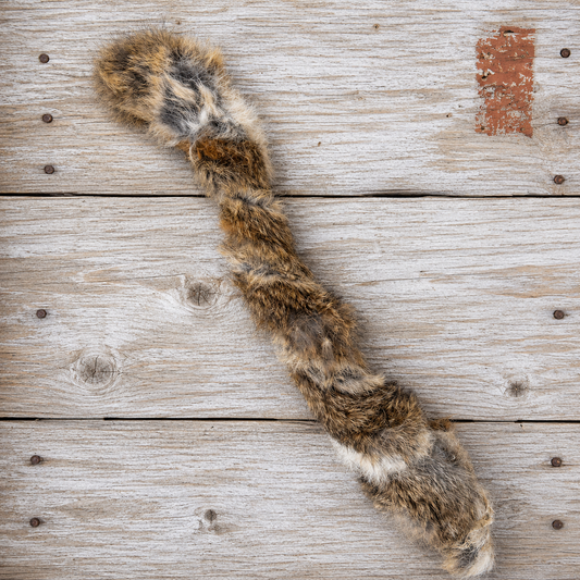 Wild Rabbit Pelt — Single
