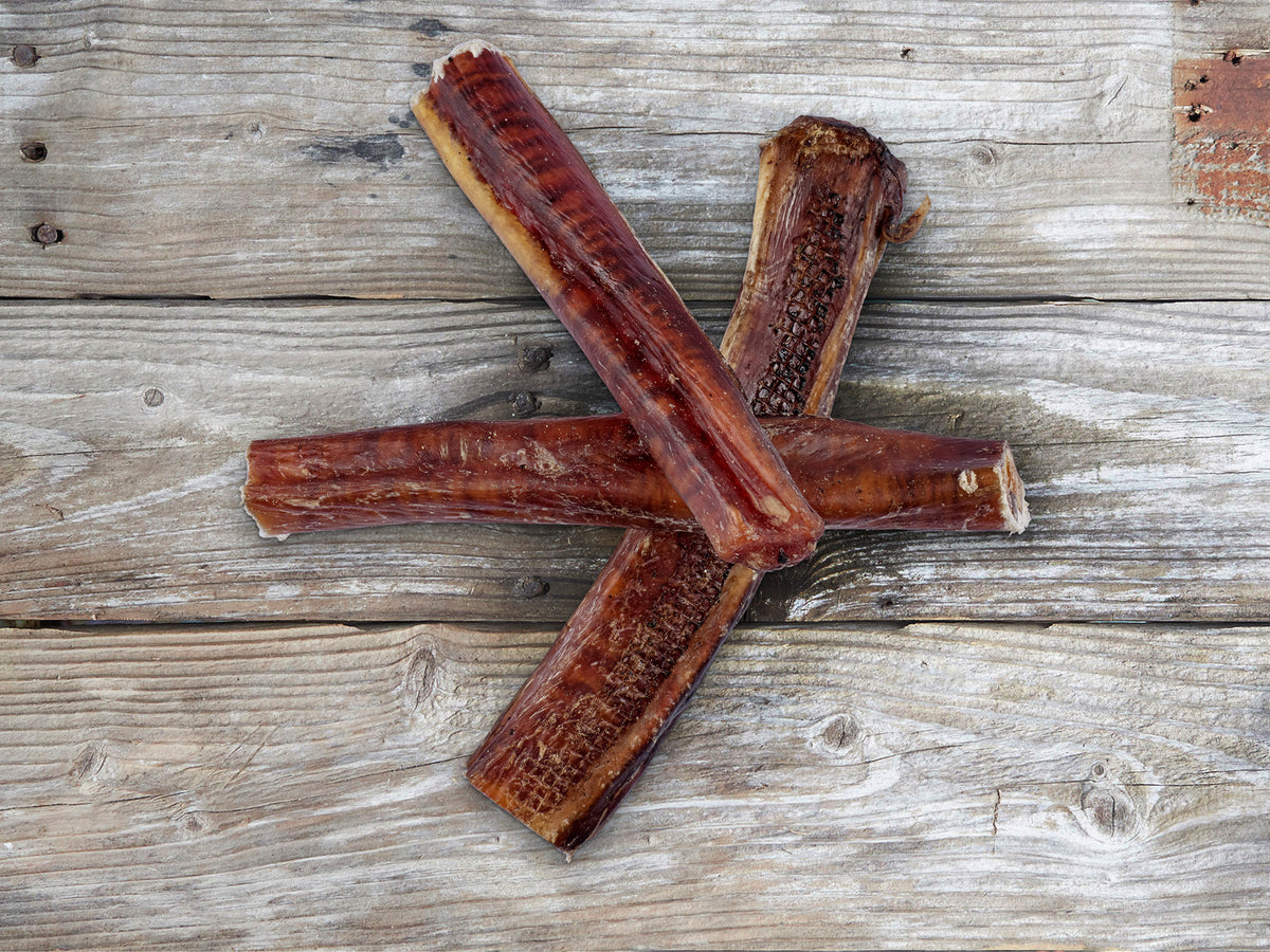 Bull chew Australian long lasting natural dog treat