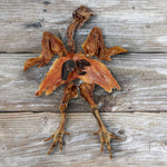 air-dried Australian chicken for dog treats