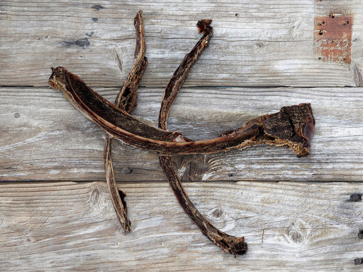 Dried kangaroo ribs for dogs