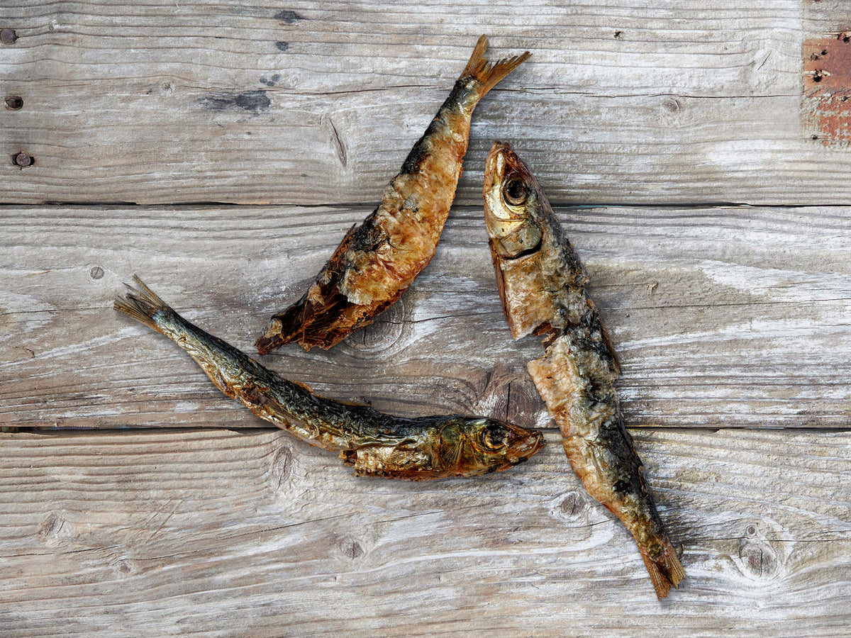 air-dried Australian sardines natural dog treats