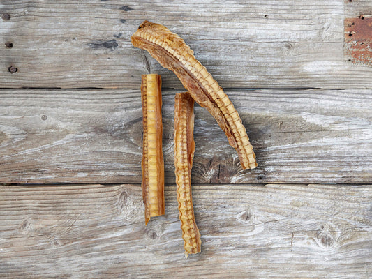Australian dried shark cartilage natural dog treats